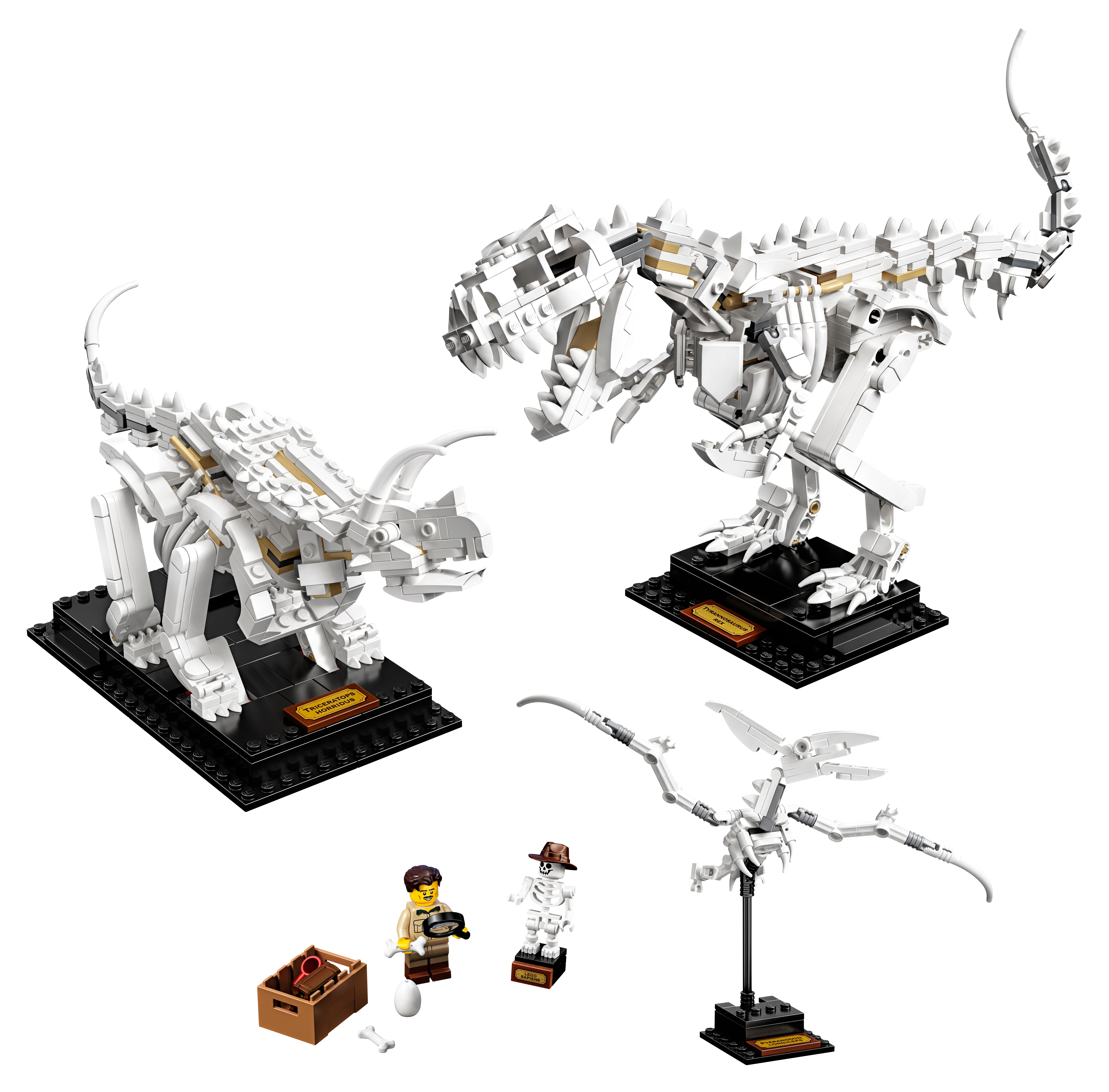 deze bagageruimte Gluren Dinosaurusfossielen 21320 | Ideas | Officiële LEGO® winkel NL