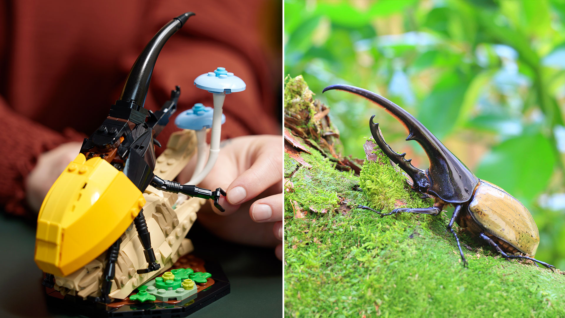 Lego insect best sale