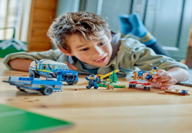 LEGO® Sets Age Range, Gifts for All Ages