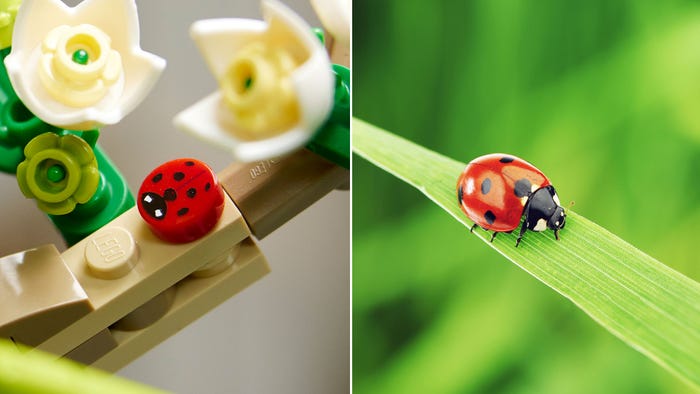 LEGO explique les changements d'échelle de l'abeille et de la coccinelle  dans le nouvel ensemble Insectes