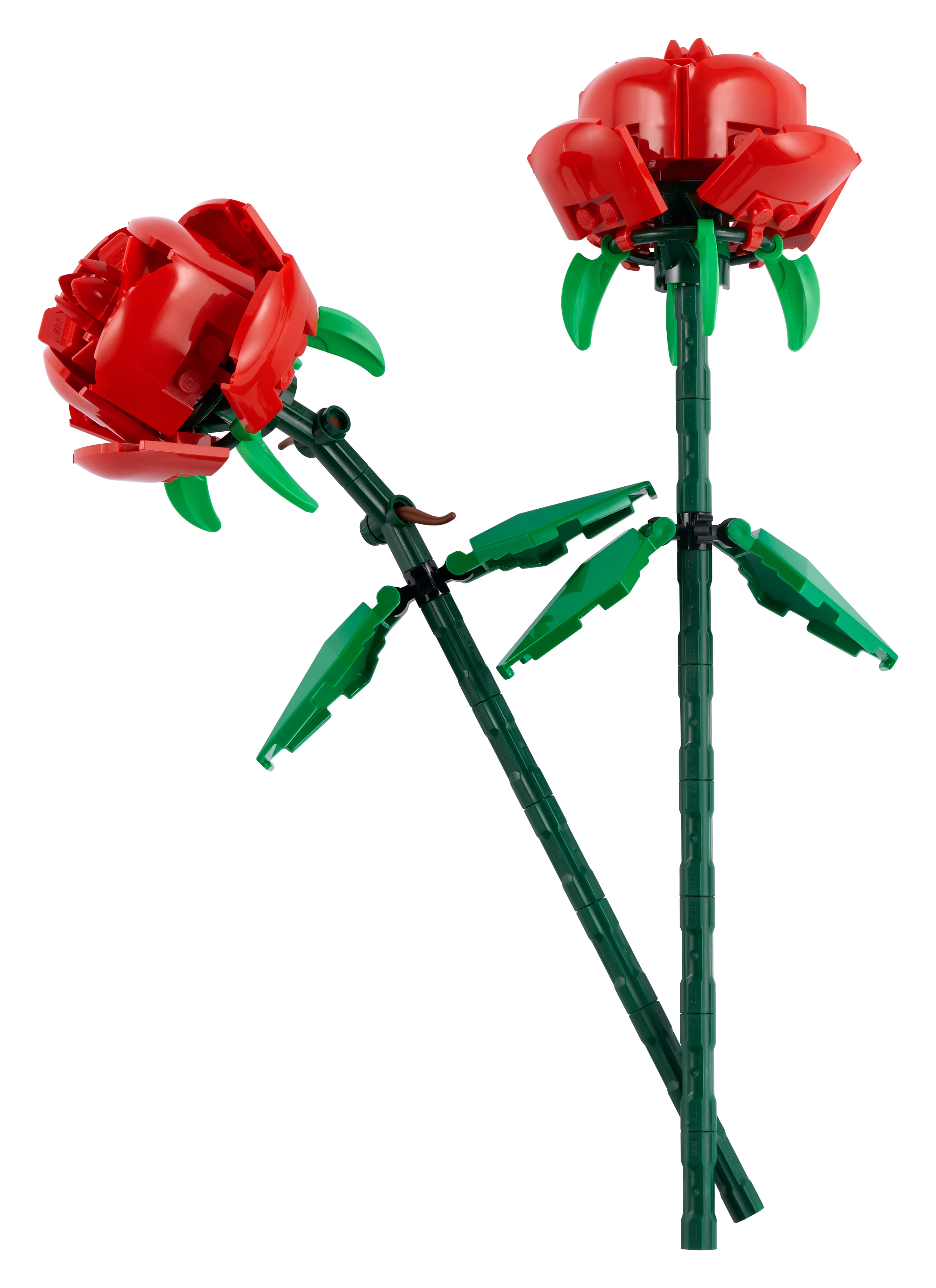 Rosor 40460 | The Botanical Collection | Official LEGO® Shop SE