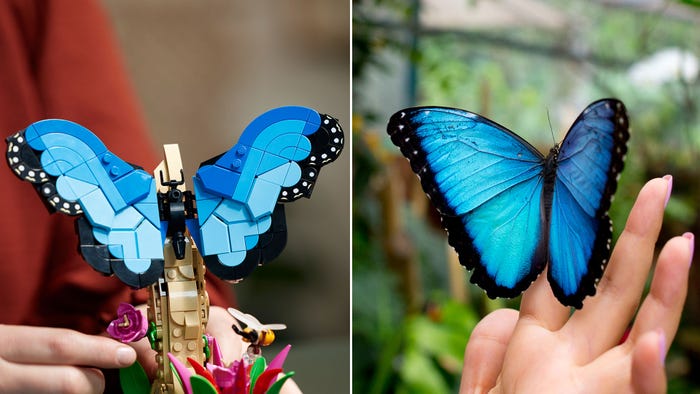 LEGO Taxidermied Insect Collection is All About Bugs and Bricks