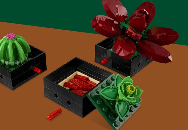 LEGO Piante Grasse, Set Per Adulti Da Collezione, Modellismo E