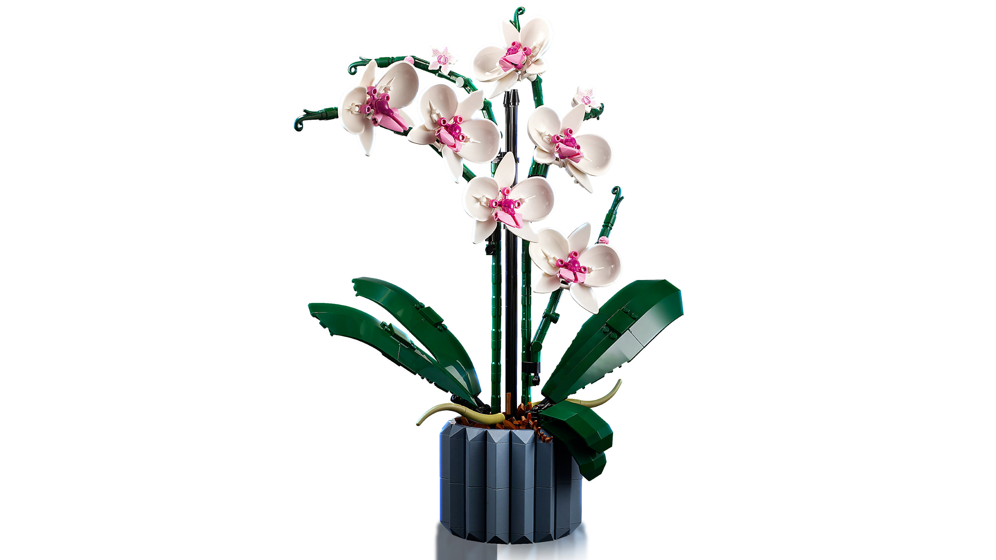 LEGO Icons Botanical Collection Orchid • Set 10311 • SetDB