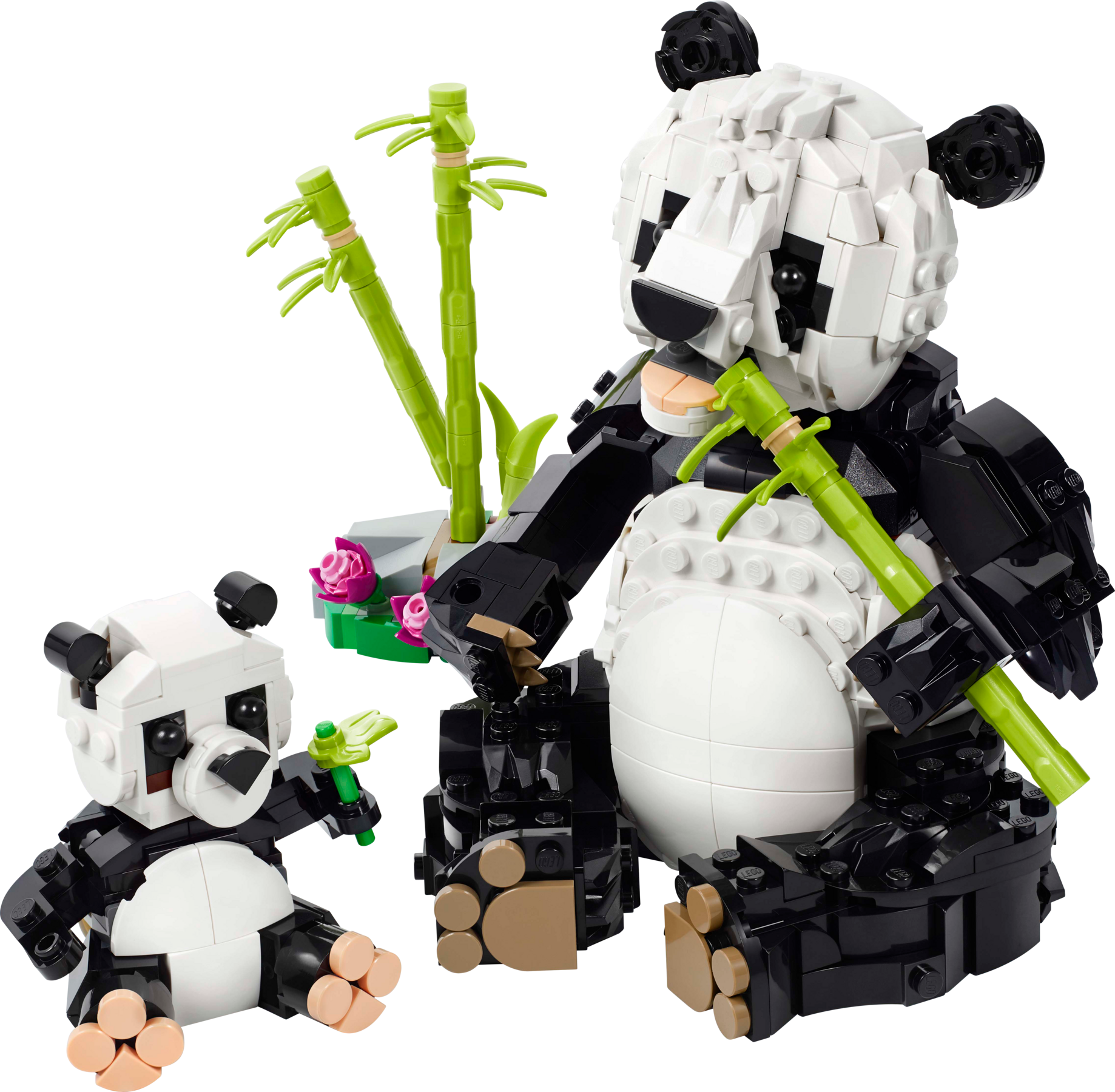 Wild Animals: Panda Family