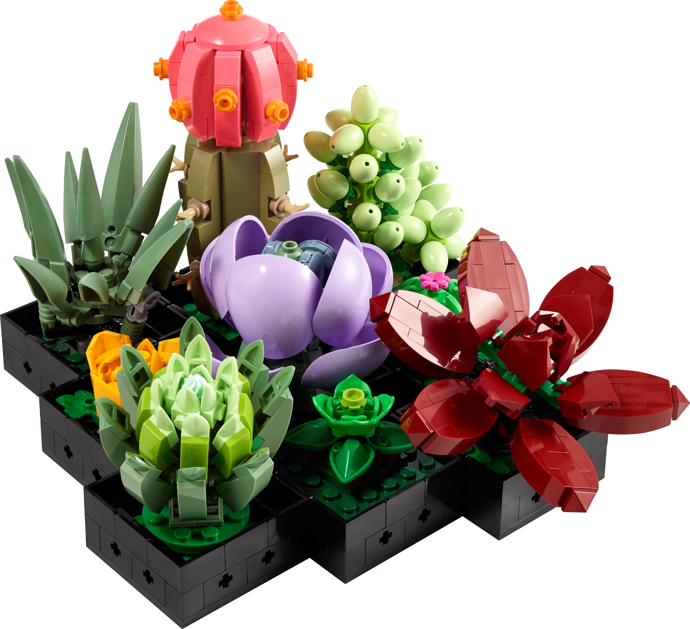 Succulents 10309 | LEGO® Icons | Buy online at the Official LEGO® Shop US