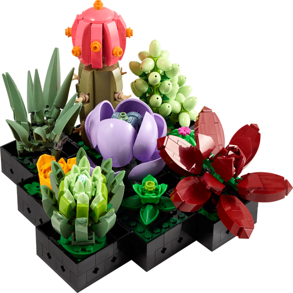 LEGO Icons Orchidea, Set Collezione Botanica Piante Artificiali, Modellino  da Costruire con Fiori Finti, Kit Modellismo per Adulti, Idee Regalo per  Donna o Uomo, Moglie o Marito, Hobby Creativi 10311 : : Giochi e  giocattoli