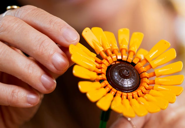 Fiore succulento particelle di microparticelle fiori in vaso fiori piante  compatibili con Lego Building Blocks mattoni giocattoli Set regalo