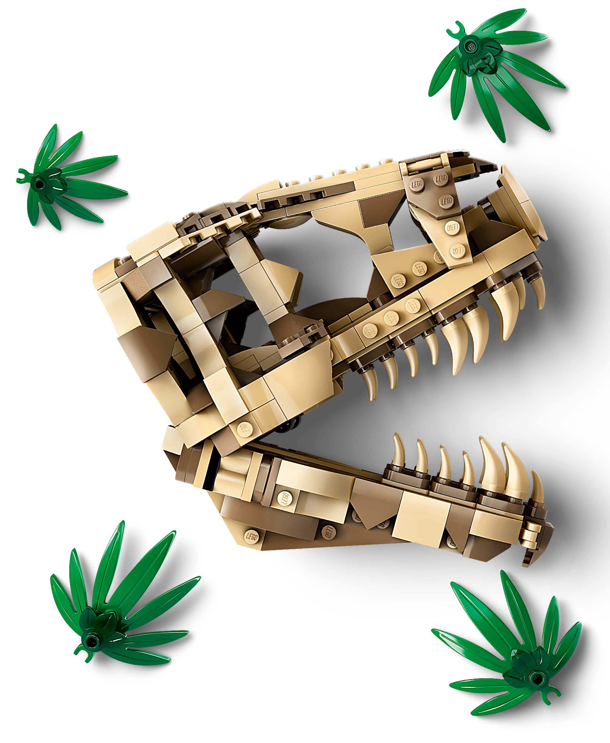 New for 2024: LEGO Jurassic Park Dinosaur Fossils: T.rex Skull 76964! 