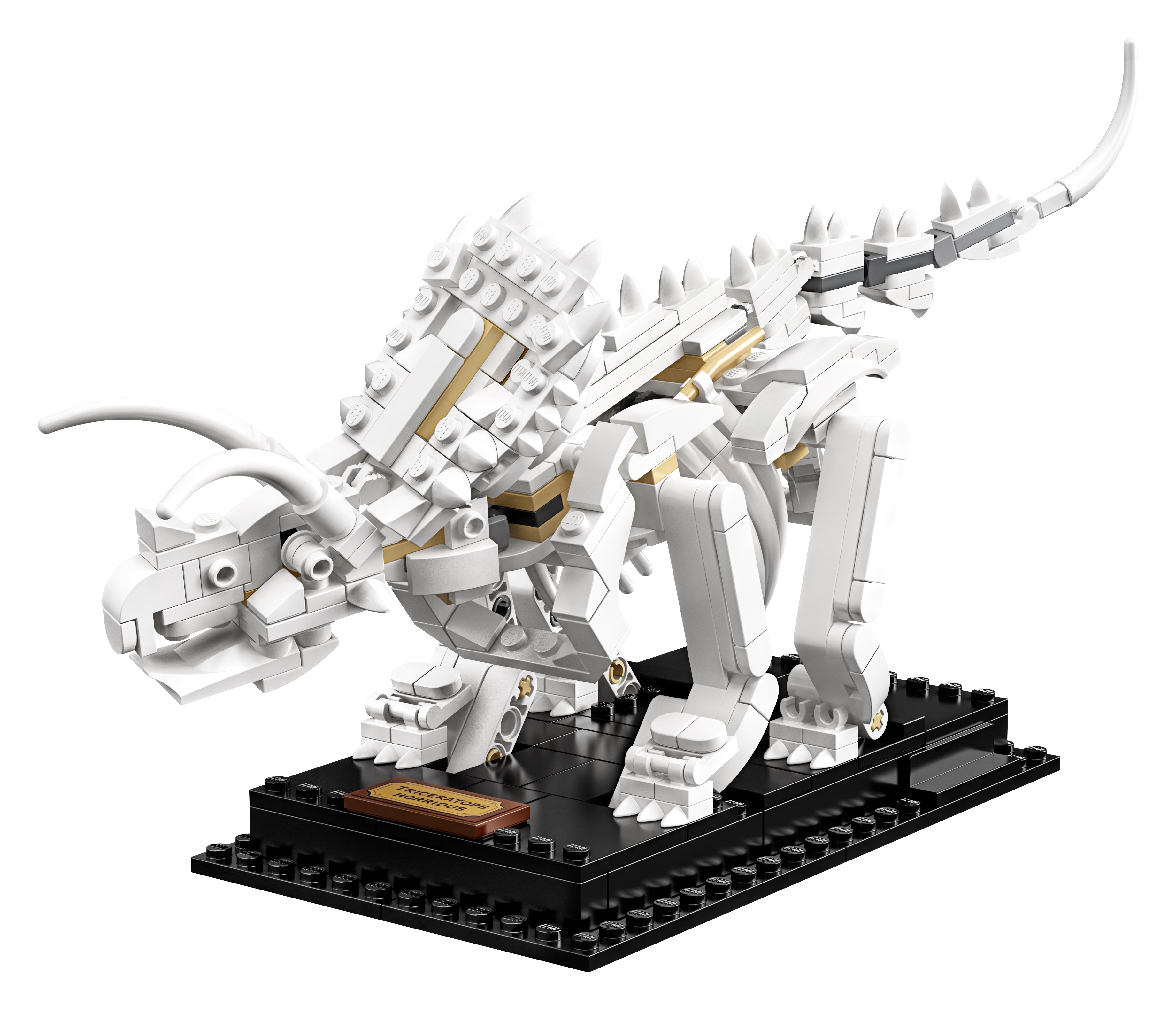 Dinosaur Fossils 21320 | Ideas | Buy online at the Official LEGO 