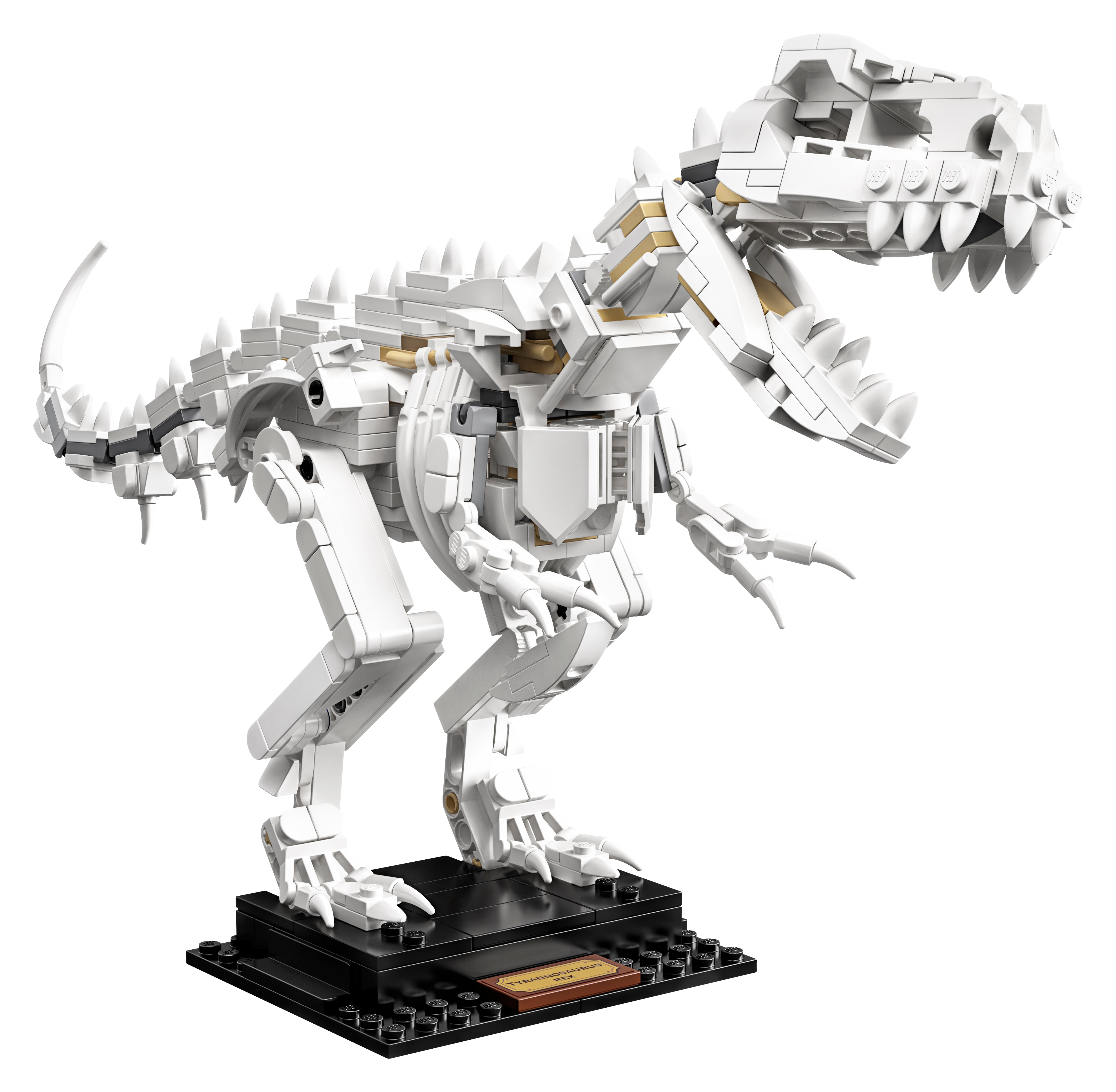 Dinosaur Fossils 21320 | Ideas | Buy online at the Official LEGO® Shop