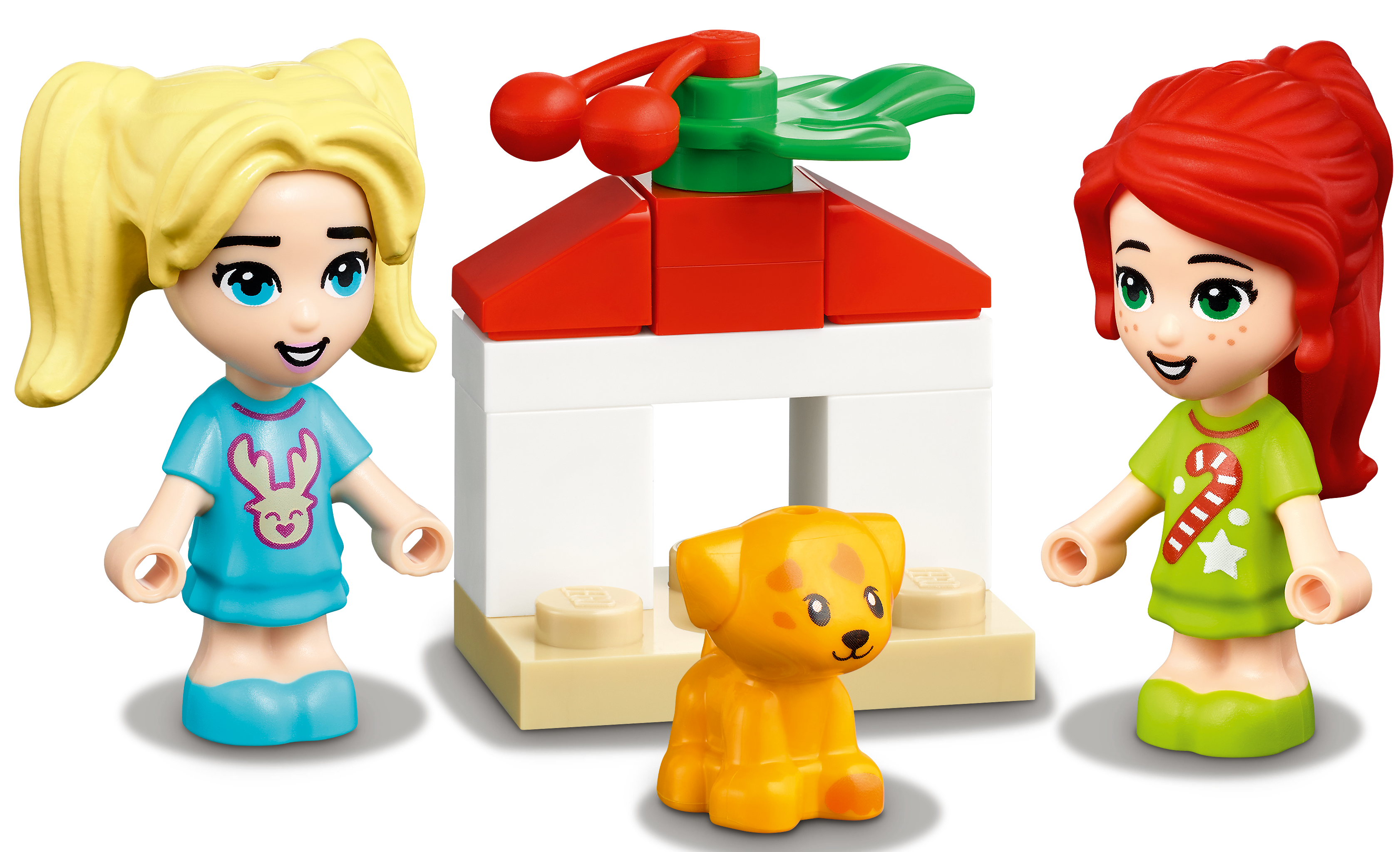 LEGO®-Friends Le Calendrier de l'Avent Friends 2019 Jouet pour Fill