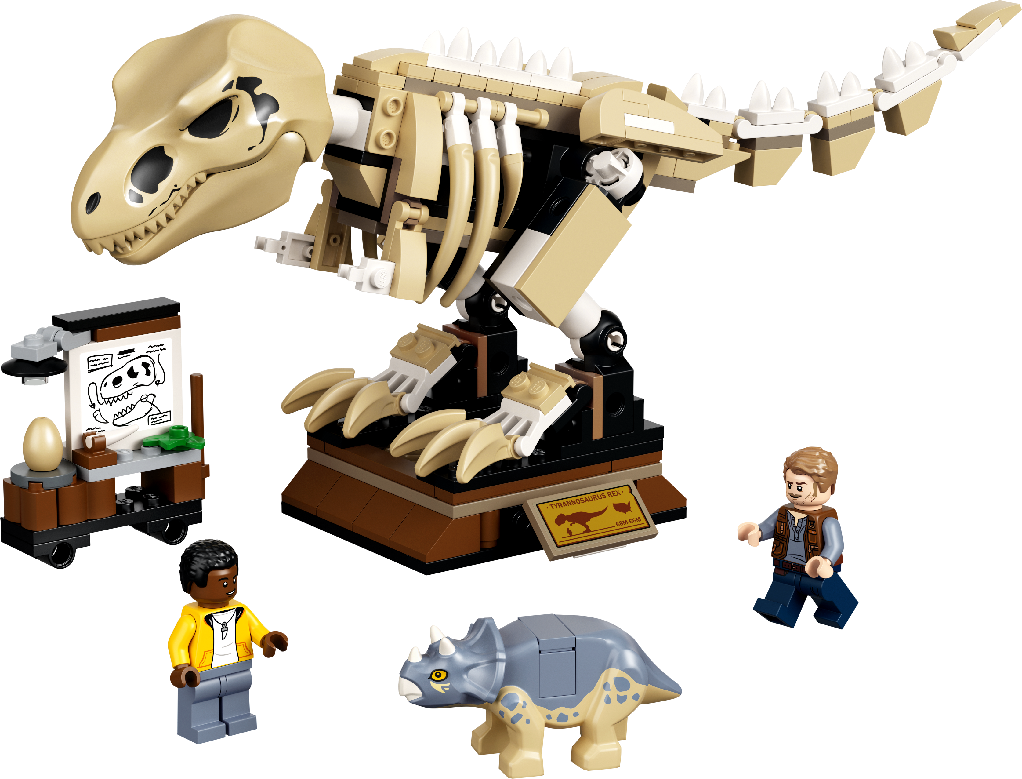 Rennen Openbaren discretie T. rex Dinosaur Fossil Exhibition 76940 | Jurassic World™ | Buy online at  the Official LEGO® Shop US