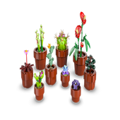 ▻ LEGO ICONS Botanical Collection 10329 Tiny Plants : le set est en ligne  chez Cdiscount et sur le Shop - HOTH BRICKS