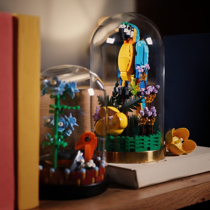 LEGO Ideas potrebbe aggiungere alla Collezione Botanica con un