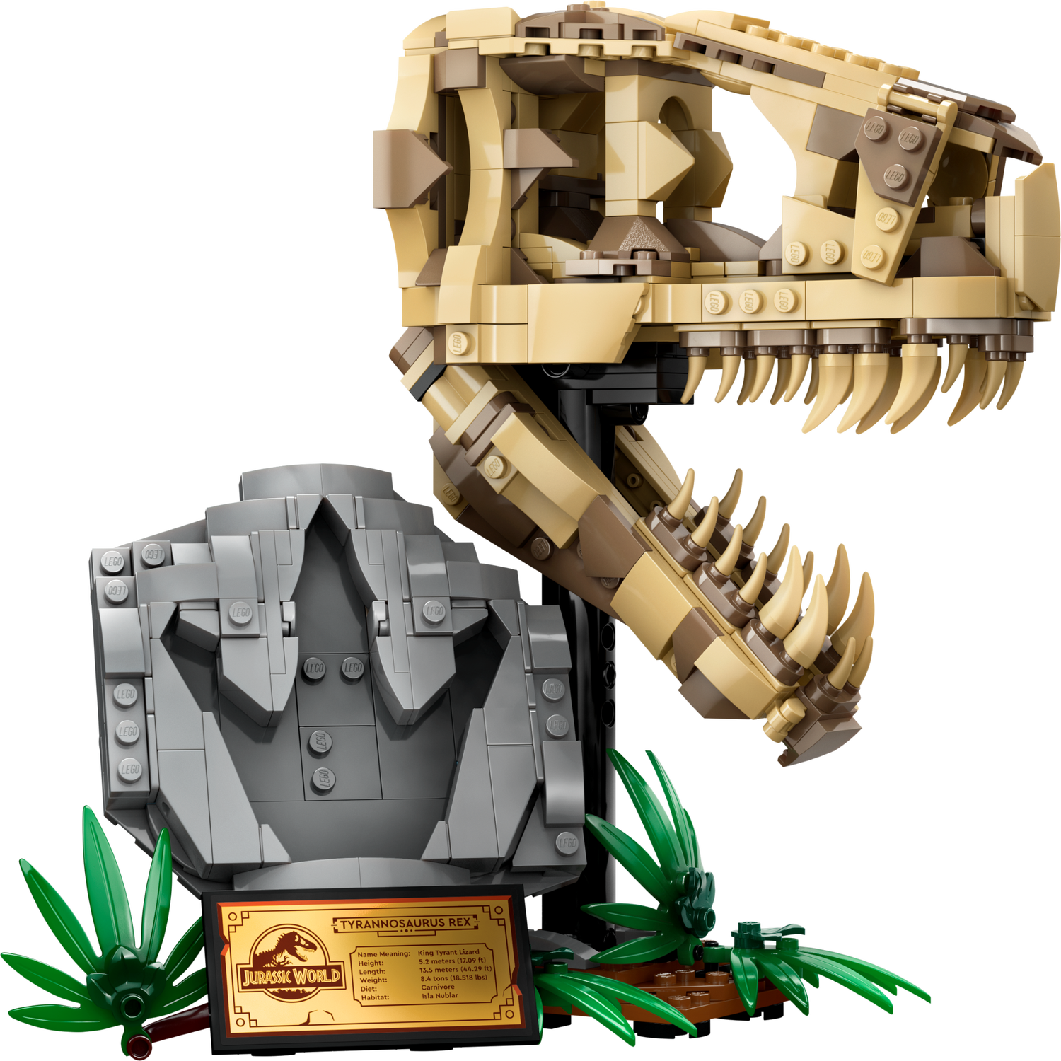 恐竜の化石：T-レックス頭蓋骨 76964 | ジュラシック・ワールド |レゴ 
