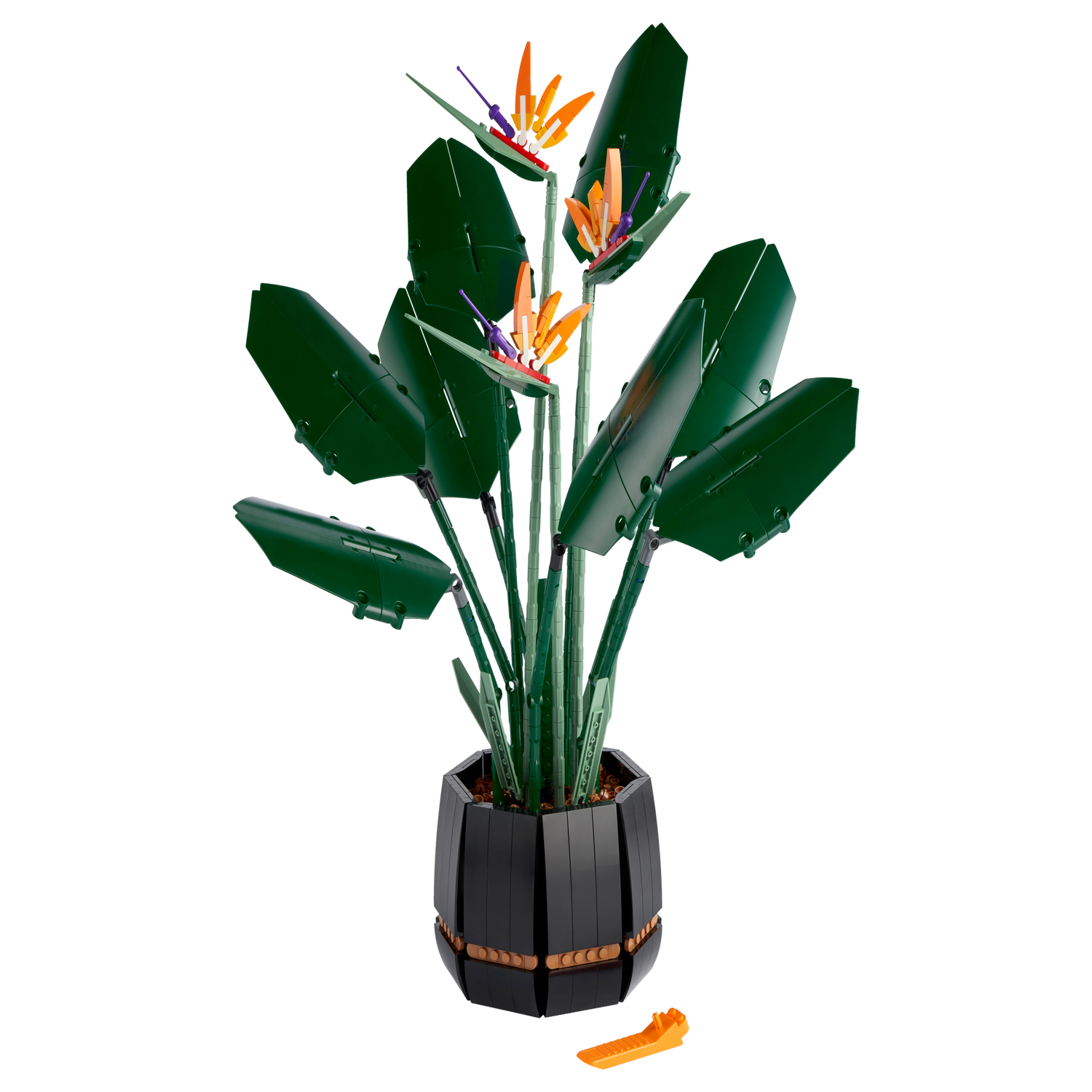SET LEGO® 10289 BIRD OF PARADISE: una pianta tropicale nella BOTANICAL  COLLECTION - OrangeTeam LUG
