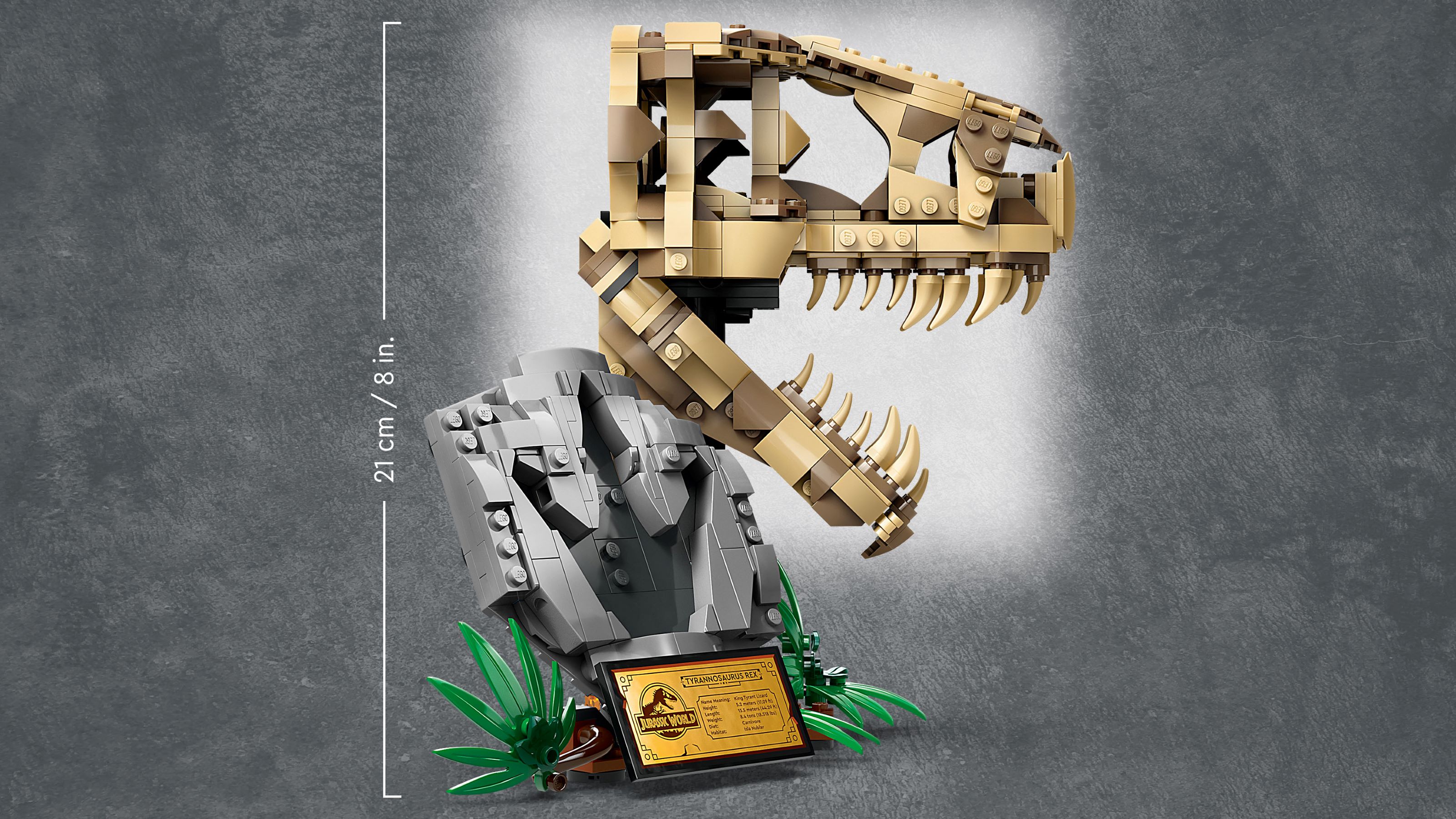 76964 at US Shop Dinosaur World™ online the Jurassic Fossils: T. | Skull rex Buy | Official LEGO®