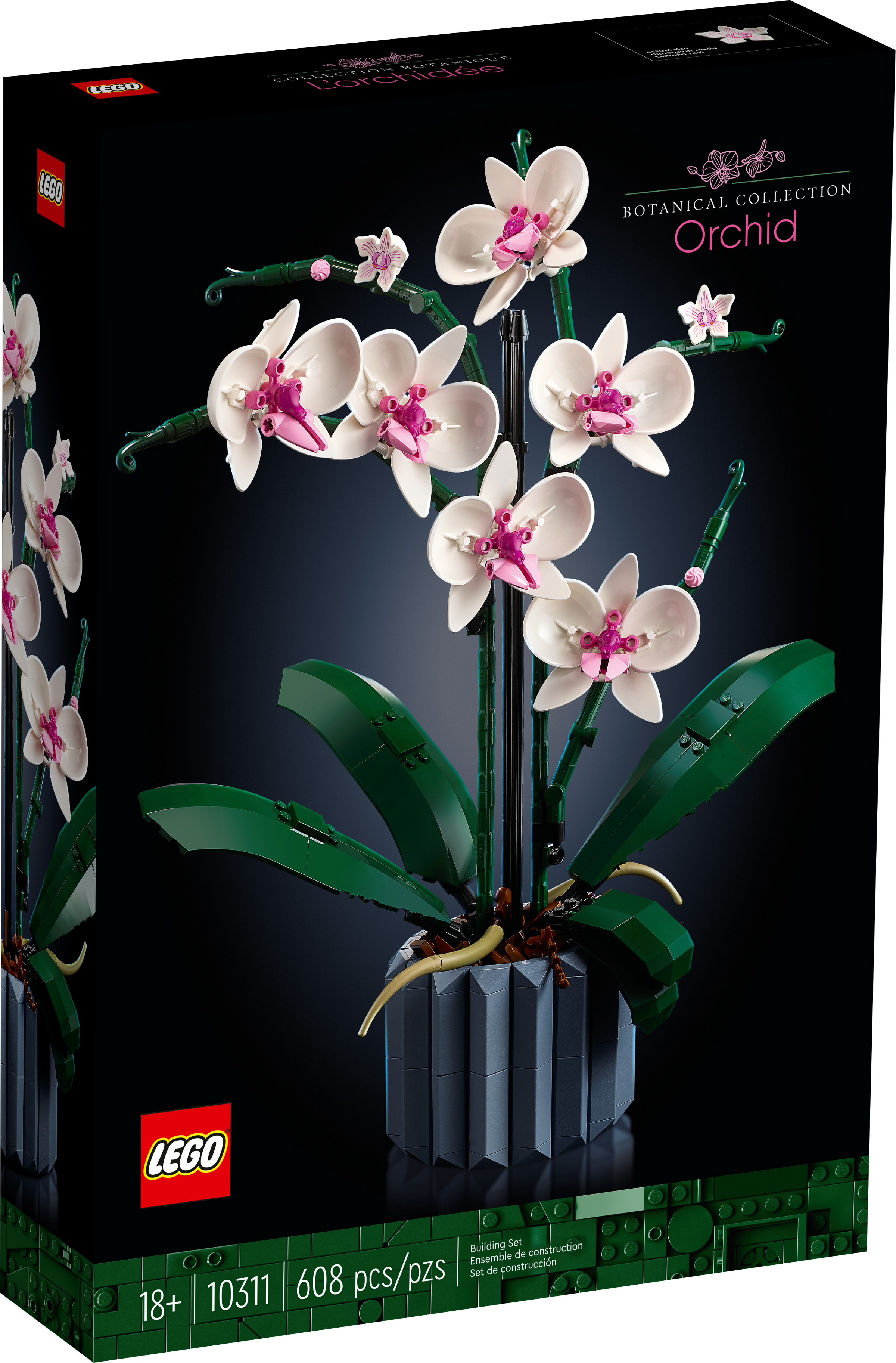 Sotel  10311 LEGO® ICONS™ Orchidee