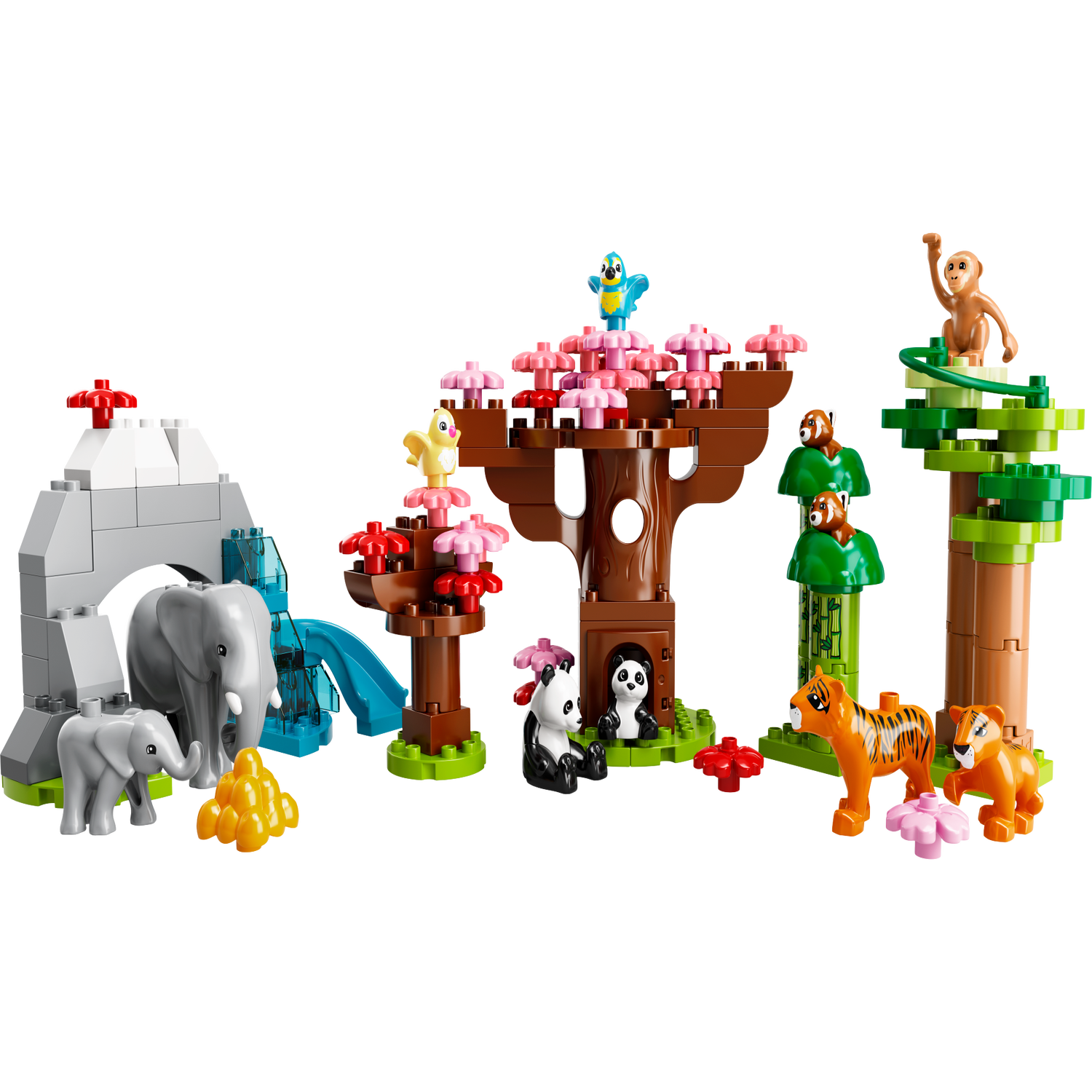 LEGO DUPLO, Les animaux sauvages d'Asie, 10974, 2 ans et plus