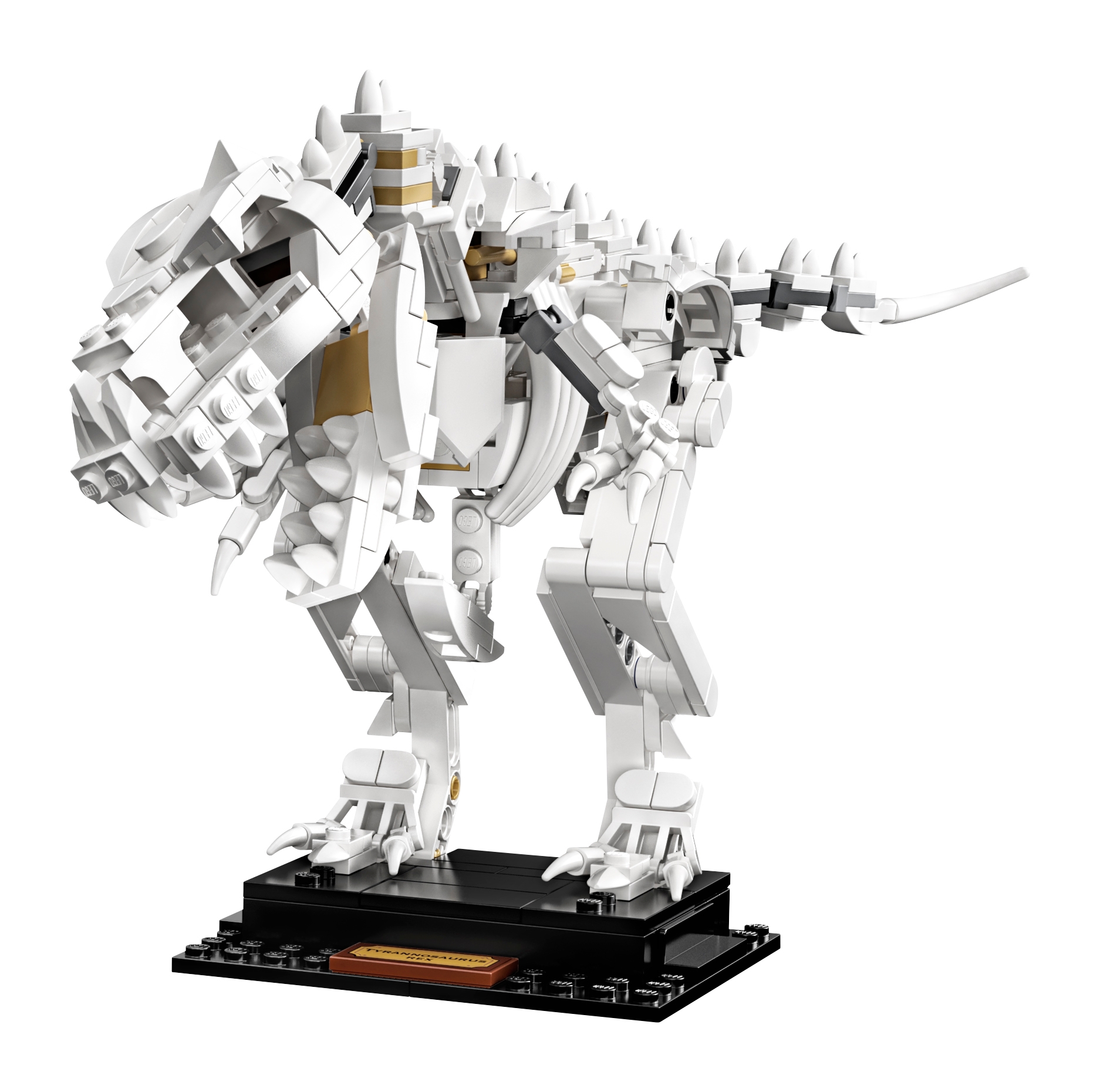 Dinosaur Fossils 21320 | Ideas | Buy online at the Official LEGO® Shop