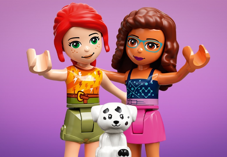 41443 lego online friends