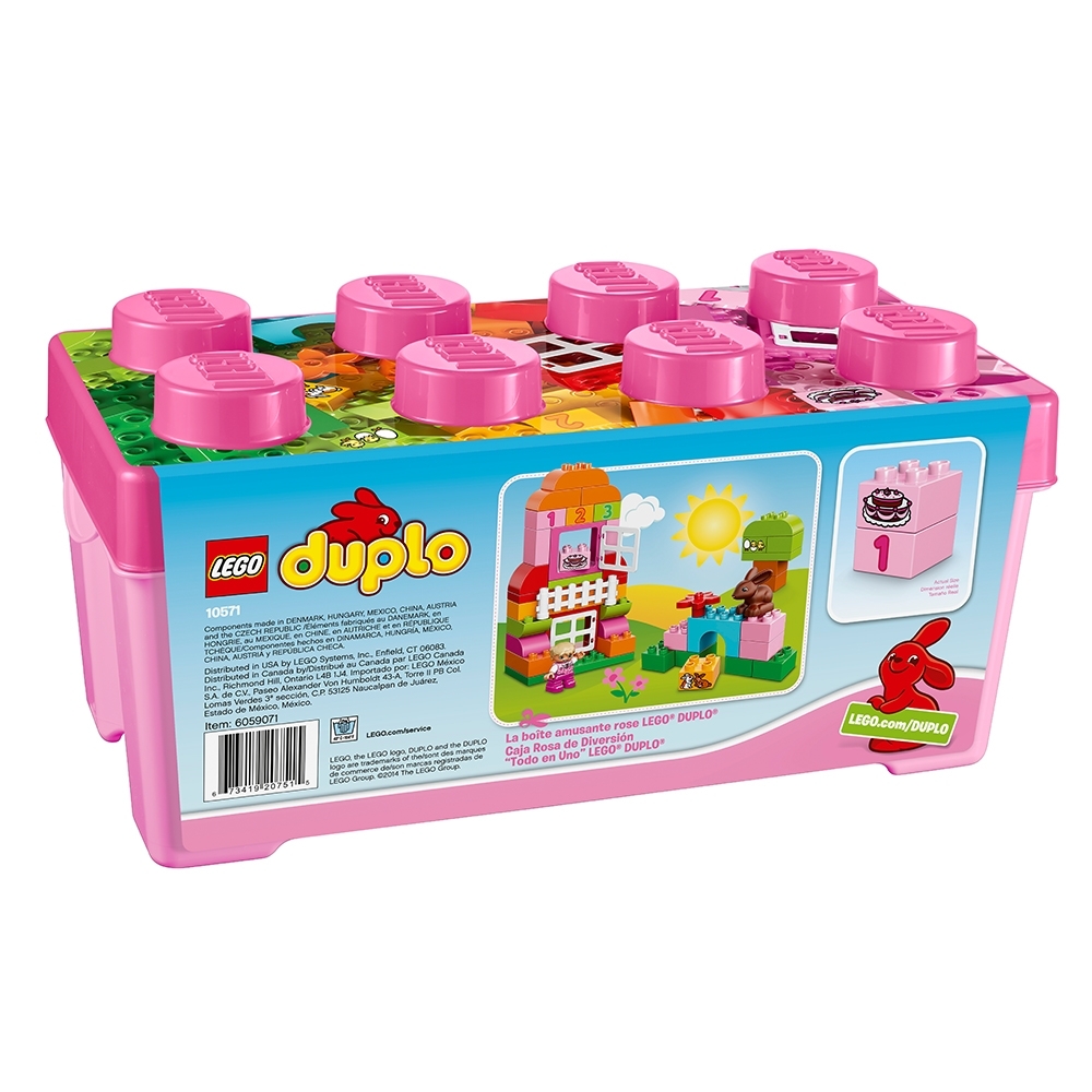 Verfrissend Systematisch passage LEGO® DUPLO® alles-in-één roze doos 10571 | DUPLO® | Officiële LEGO® winkel  BE