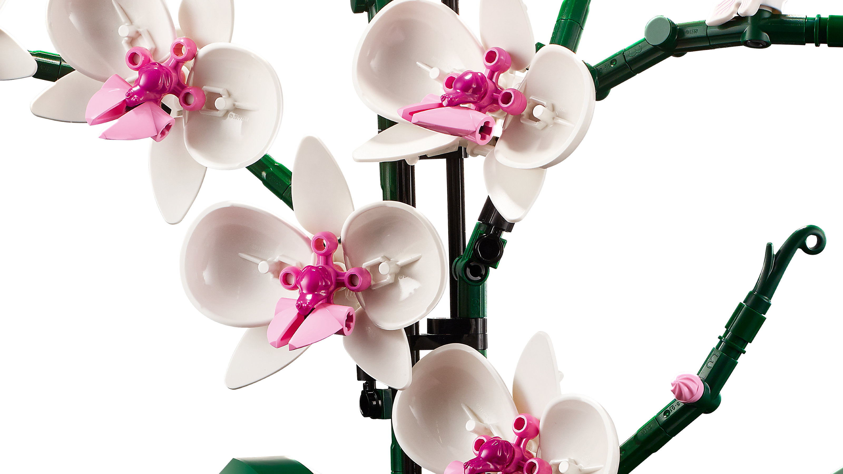 Eine Orchidee von LEGO® - Allgemeines - Dr. Markus Jasinski