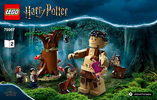 Comprar Lego Harry Potter - A Floresta Proibida: O Encontro de