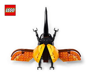 LEGO 21342 IDEAS 0050 The Insect Collection